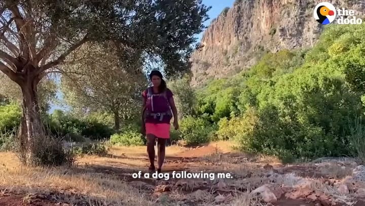 La siguió por la montaña y terminó siendo su mascota