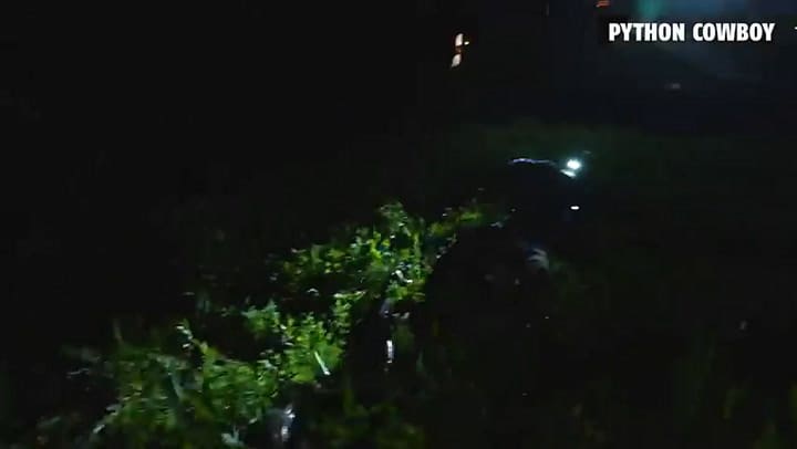 Un cazador mostró su lucha contra una pitón birmana en Florida