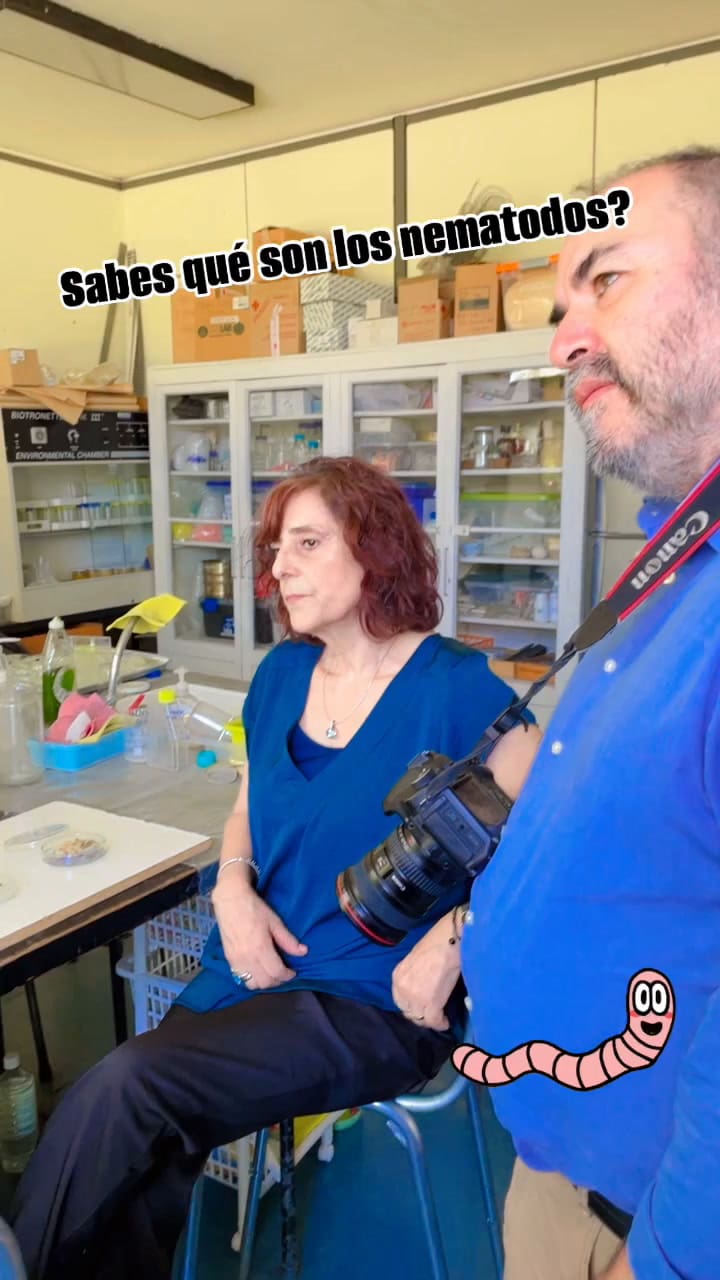 Qué son los nematodos