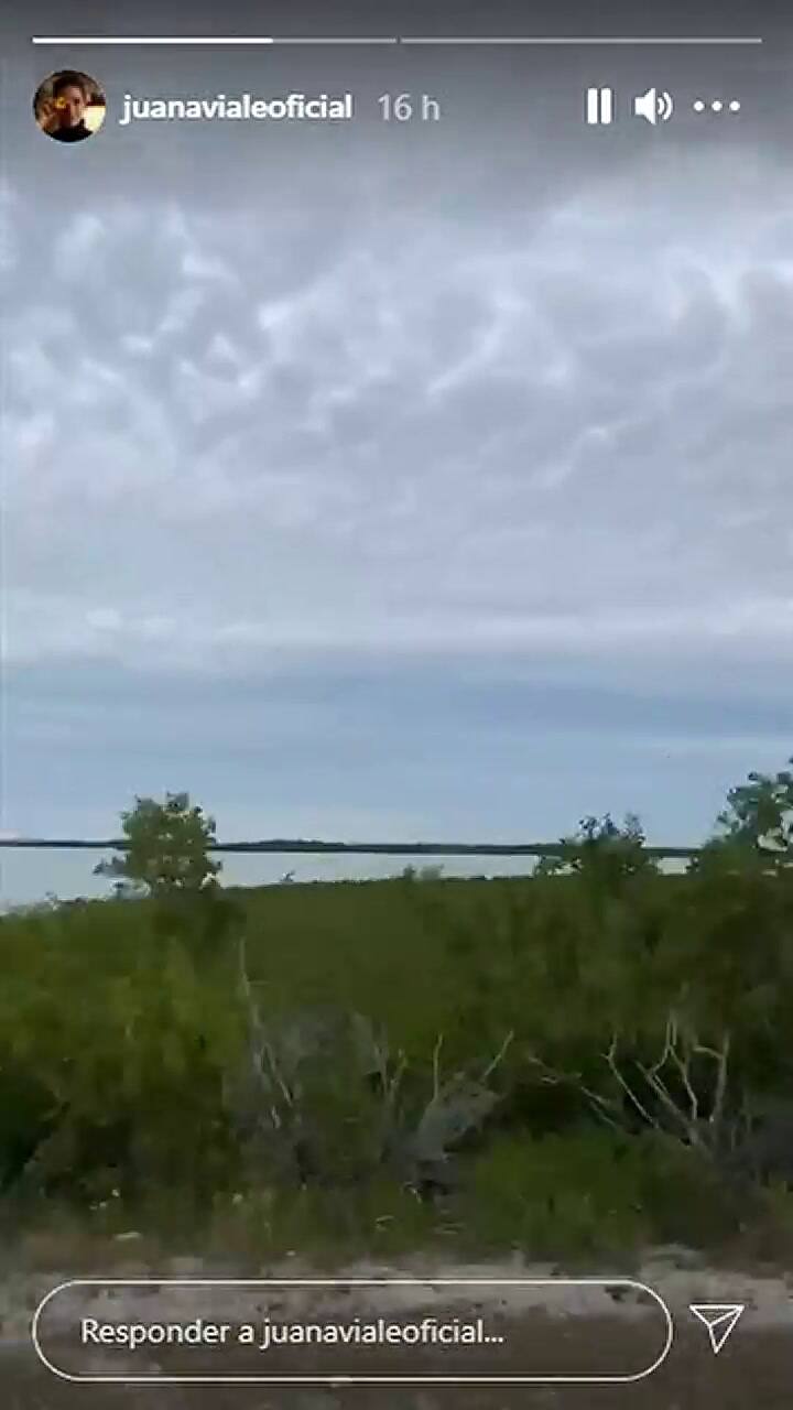 Juana Viale disfruta de sus vacaciones y baila al volante - Fuente: Instagram