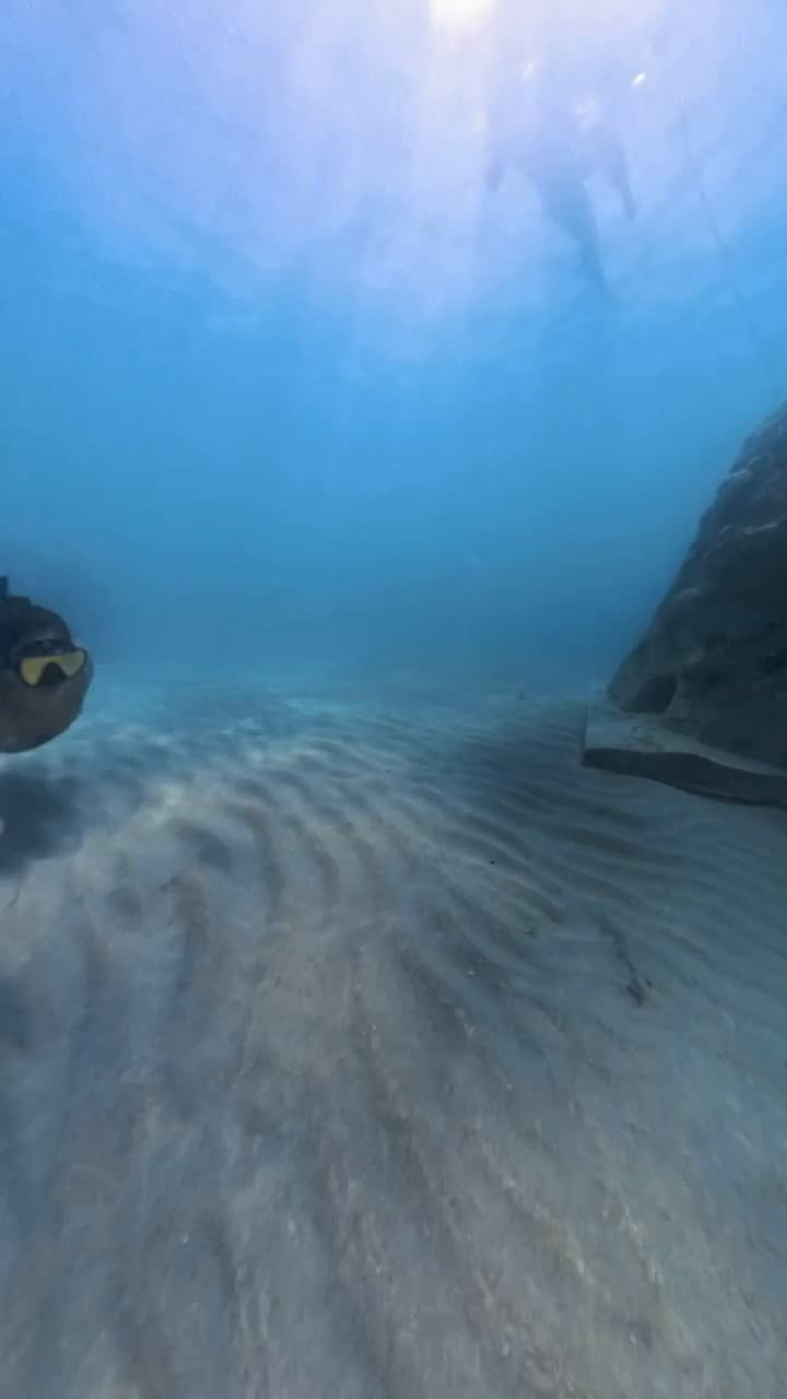 Una recorrida por el nuevo sendero artificial de arrecife en Florida