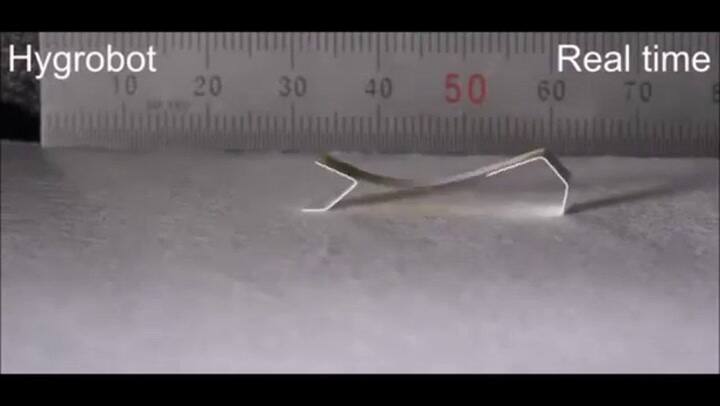 Así es el hygrobot