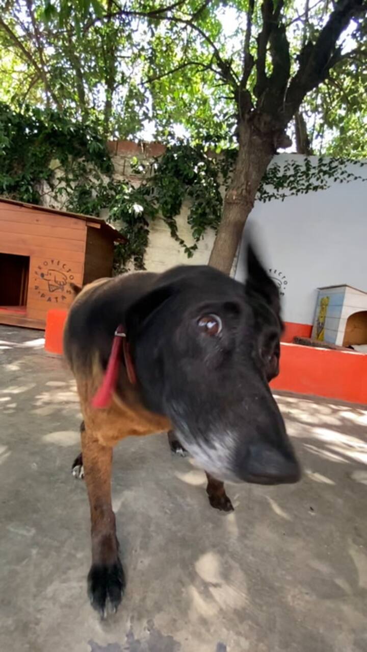 López fue rescatado junto a su compañera