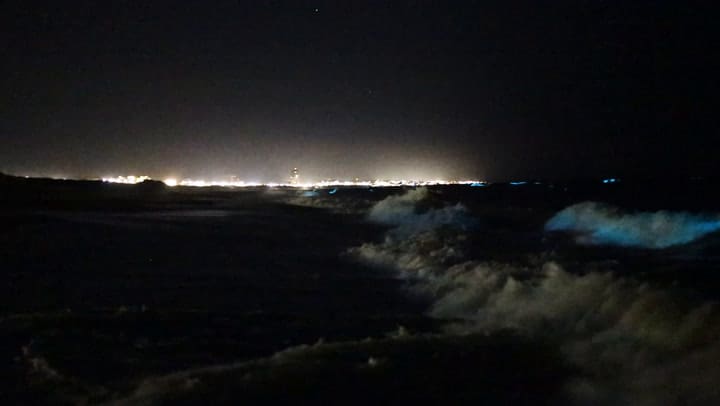 Noctilucas en Punta del Este