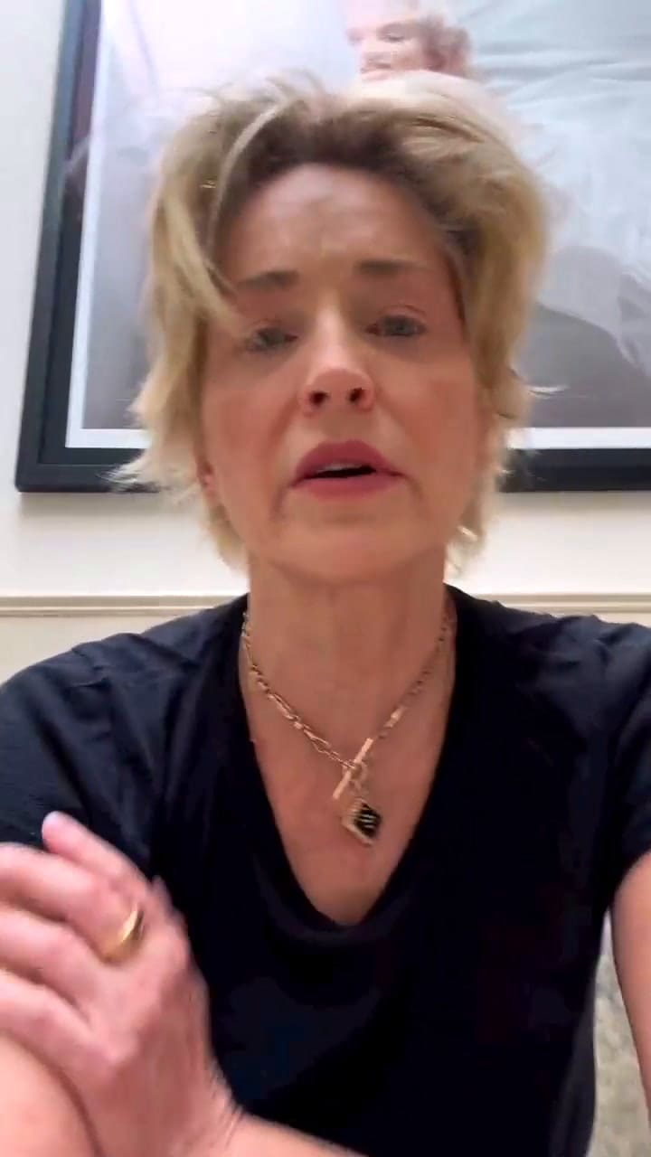 reel de Sharon Stone