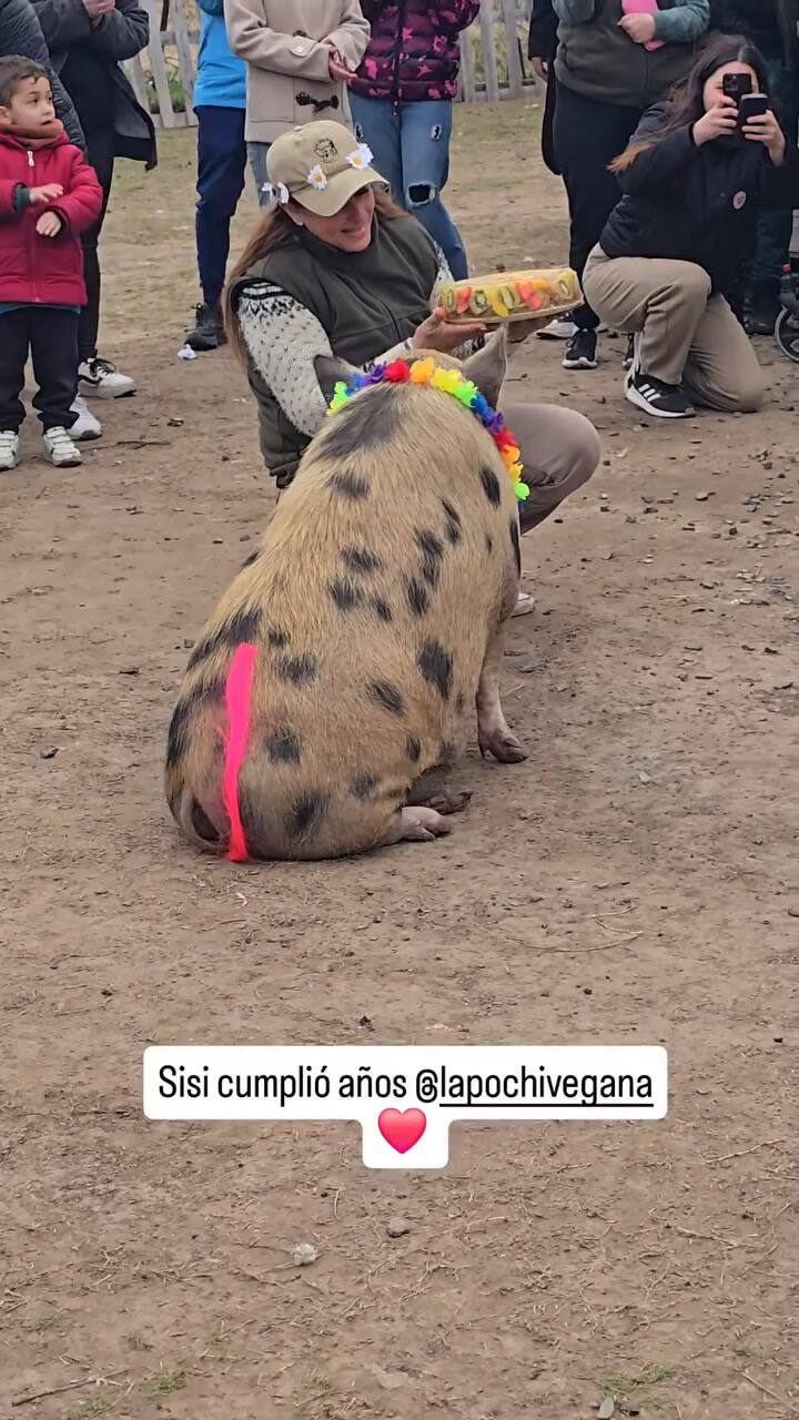 El festejo de cumpleaños de Pochi