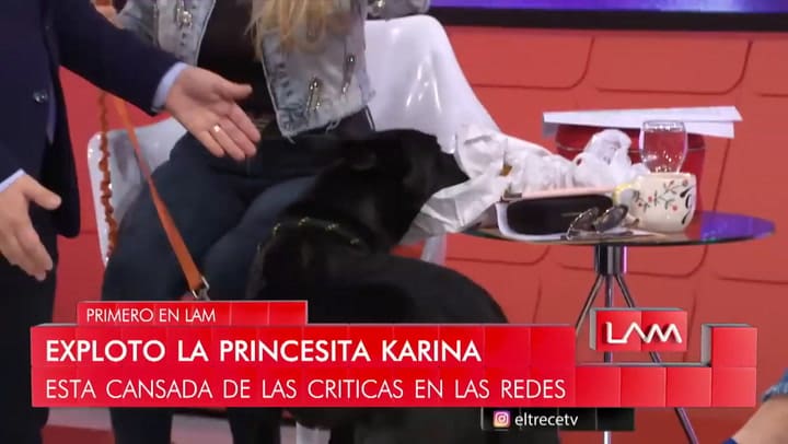 Graciela Alfano contó la dura historia de Benicio, el perro que rescató en Mar del Plata