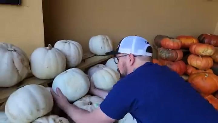 Cómo hacer una calabaza para Halloween