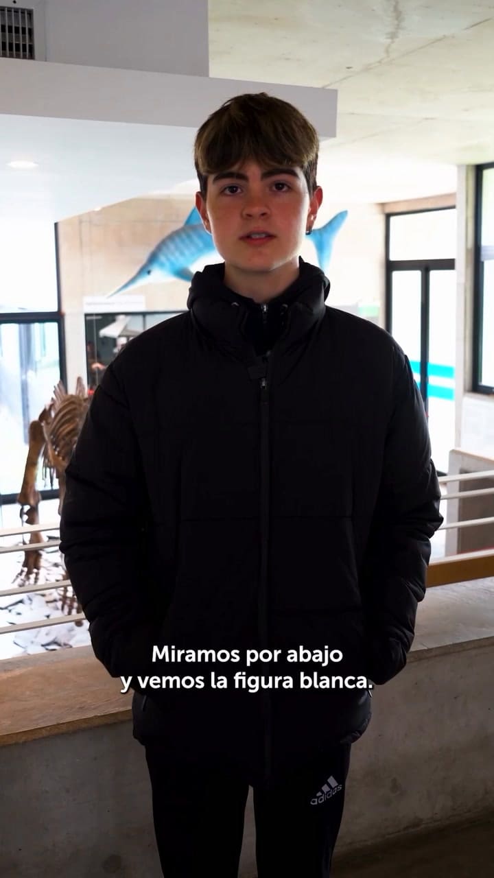 Un joven caminaba por la costa de Mar del Plata y encontró restos fósiles de un Toxodon