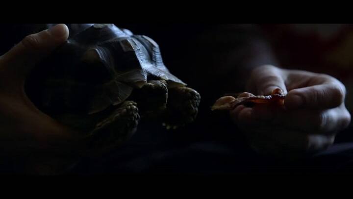 Trailer de Portlandia - Fuente: YouTube