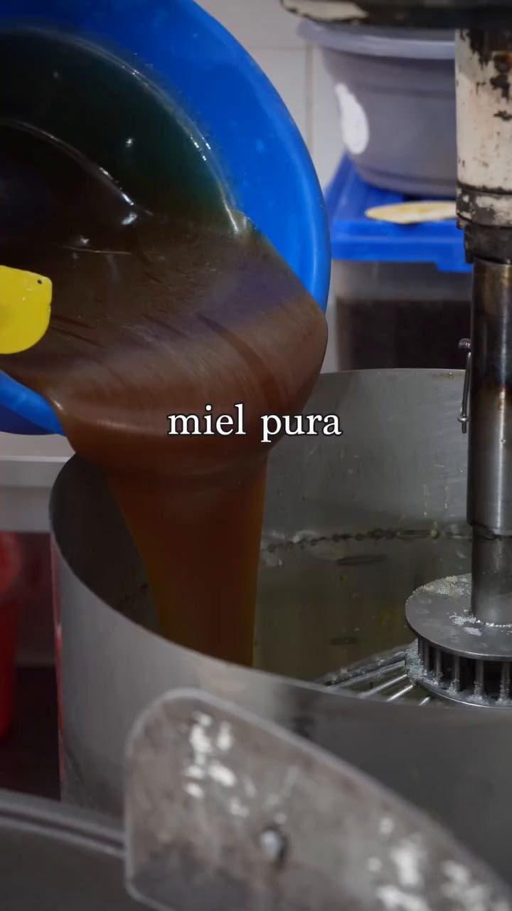 Así se hace el mejor alfajor del mundo elegido por TasteAtlas