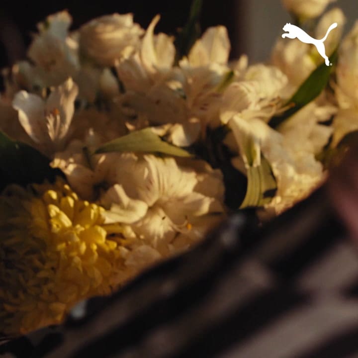 24ss Sp Palermo-special Dua-lipa Pink At Dinner 1x1 19s