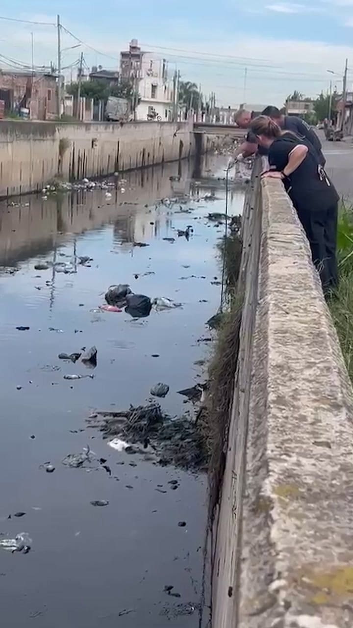 El rescate de Cristal en la localidad de Ingeniero Budge
