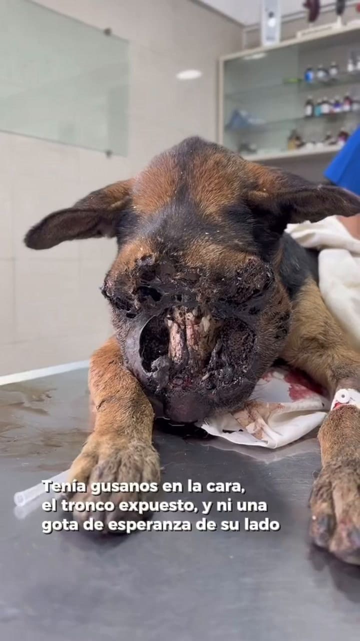 Vicente se sometió a una cirugía complicada