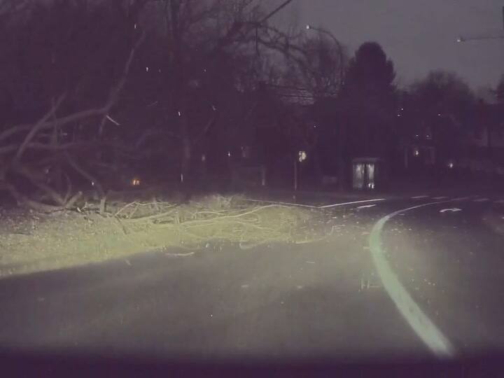 Un conductor estuvo a punto de ser golpeado por árboles derribados