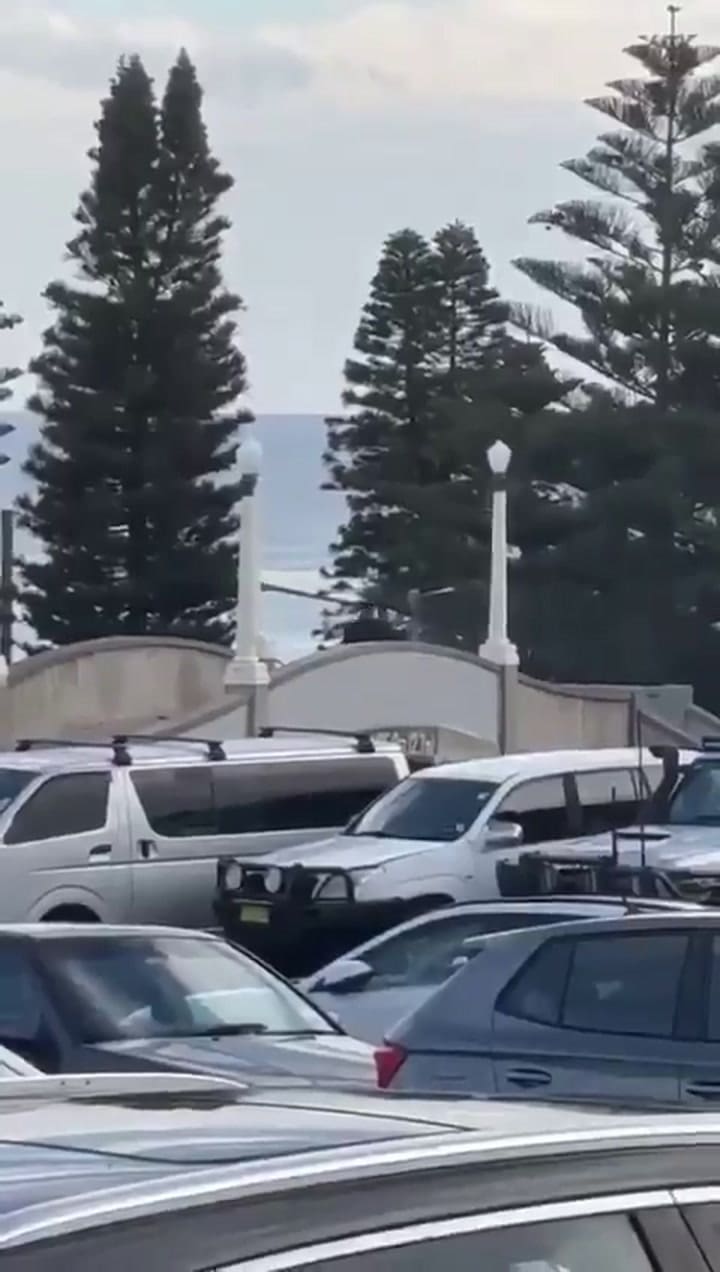 Atentado terrorista en Australia