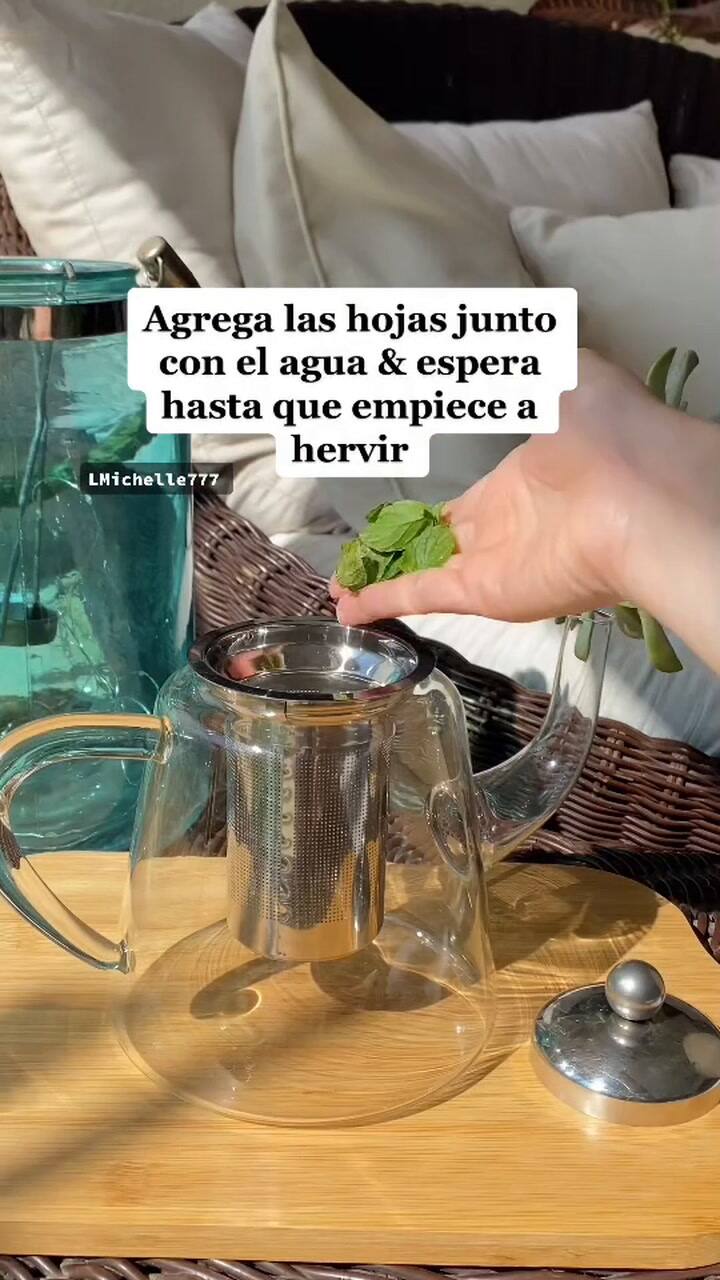 Los beneficios ocultos del té de menta