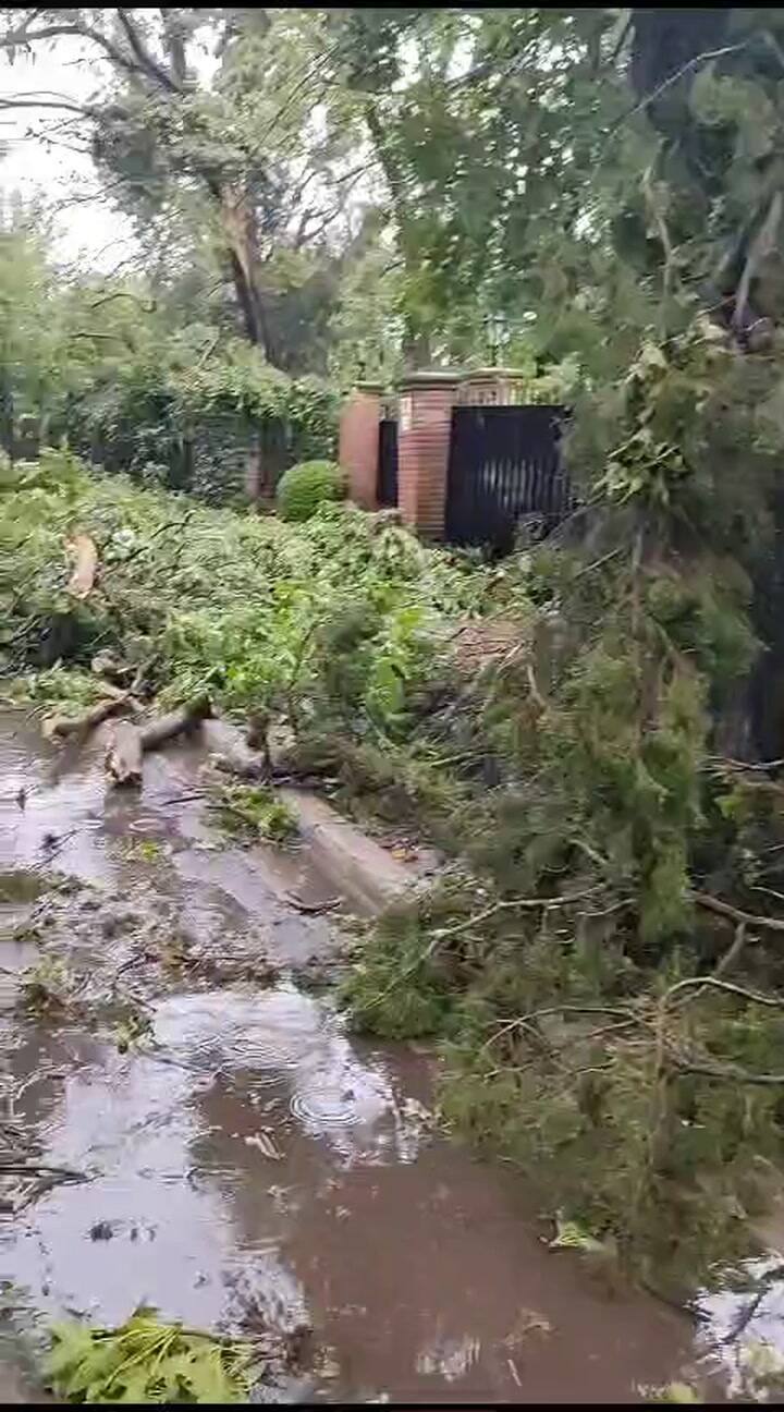 Whatsapp Video 2023-12-17 At 15.01.28