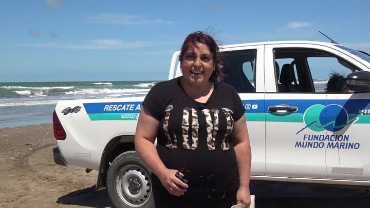 Rescate y liberación de una tortuga marina gigantesca que hizo Mundo Marino en el Tuyú