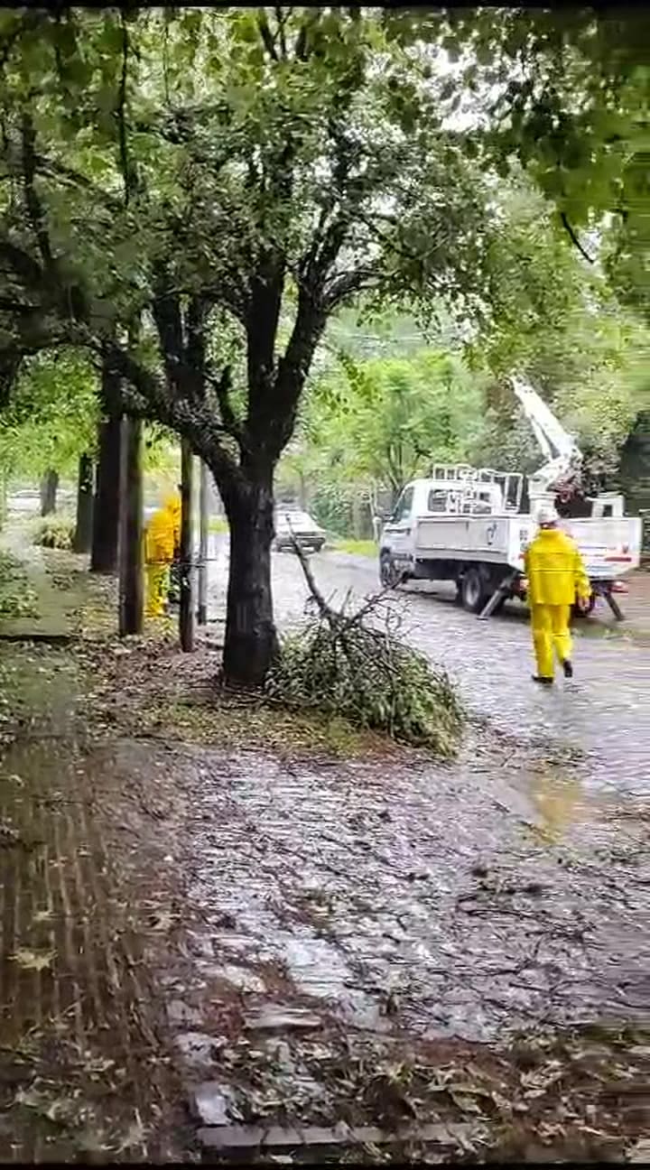 Operativo en San Isidro