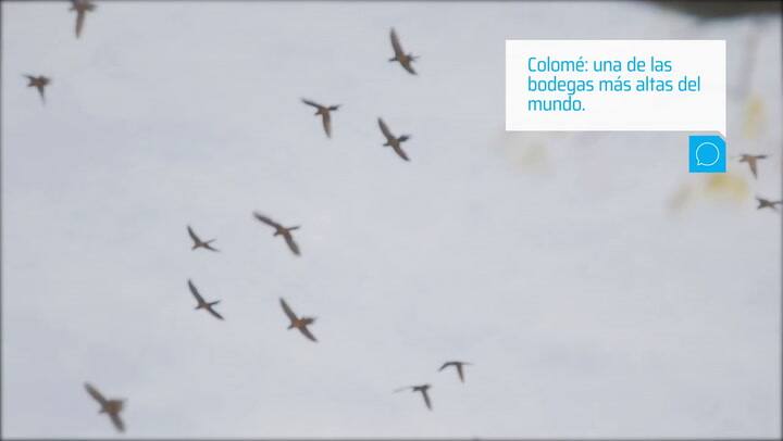 Mirá nuestros elegidos de Salta