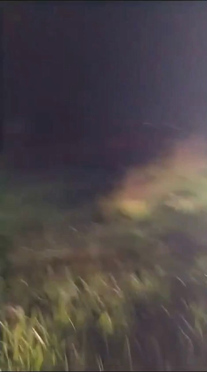 Un auto cayó a un canal de agua a la vera del kilómetro 330 de la Ruta 11, en el Partido de la Costa