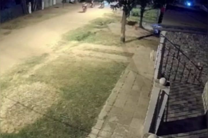 Santo Tomé. En una feroz balacera hieren a un adolescente y matan a un perro y un caballo