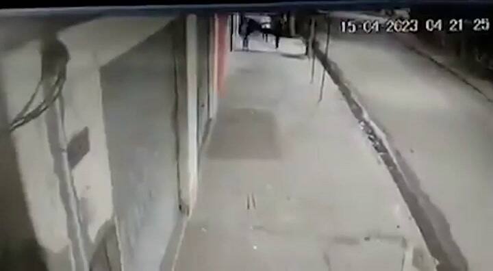 Así robaba el delincuente montado a caballo en Florencio Varela