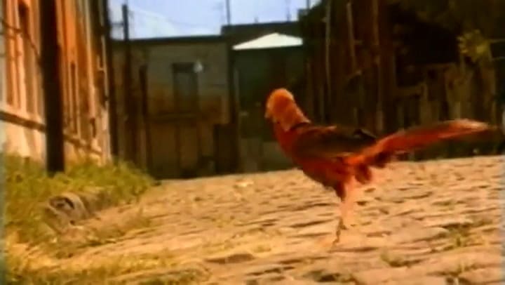 “Matador”, Los Fabulosos Cadillacs, 1994 - Fuente: YouTube