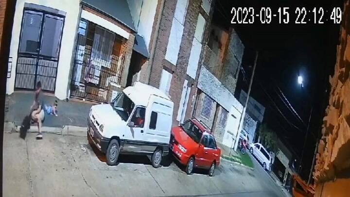 Un padre le dio una brutal golpiza a la perra de la familia por empujar accidentalmente a su hija