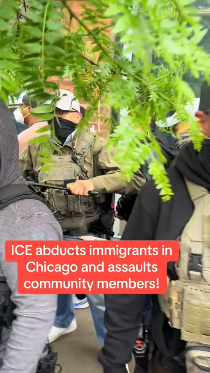 Varios Detenidos Por ICE En South Loop
