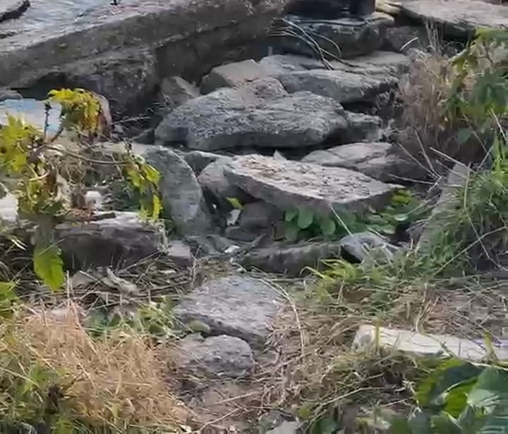 Una rata en el paseo costero de Vicente López. Fuente: LA NACION