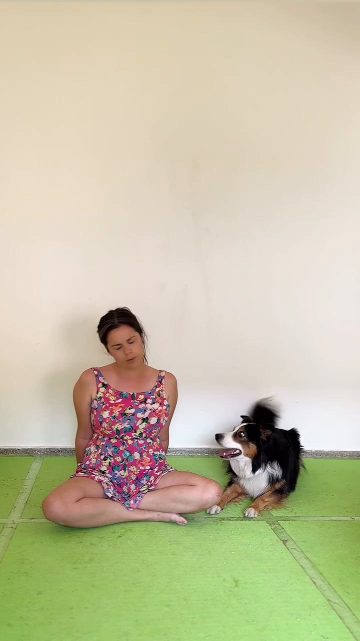 Se mide la destreza del perro y el baile del guía humano