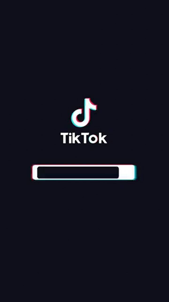 Encontró un nido de ratas