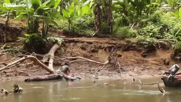 Cómo es atravesar el Tapón del Darién, la zona más inaccesible y peligrosa de América Latina