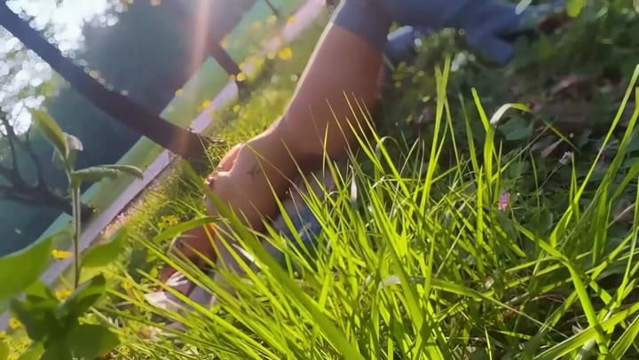 Wanda Nara Generó Una Gran Polémica Al Revelar El Adelanto De Su Nueva Canción Caras