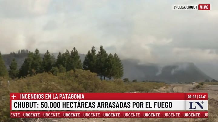 Sandro Lobo, jefe de Operaciones de Brigadistas