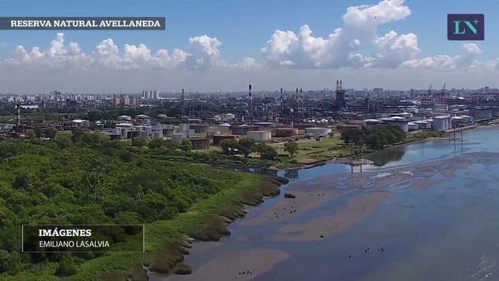 La Reserva Natural Avellaneda vista desde el drone de La Nación