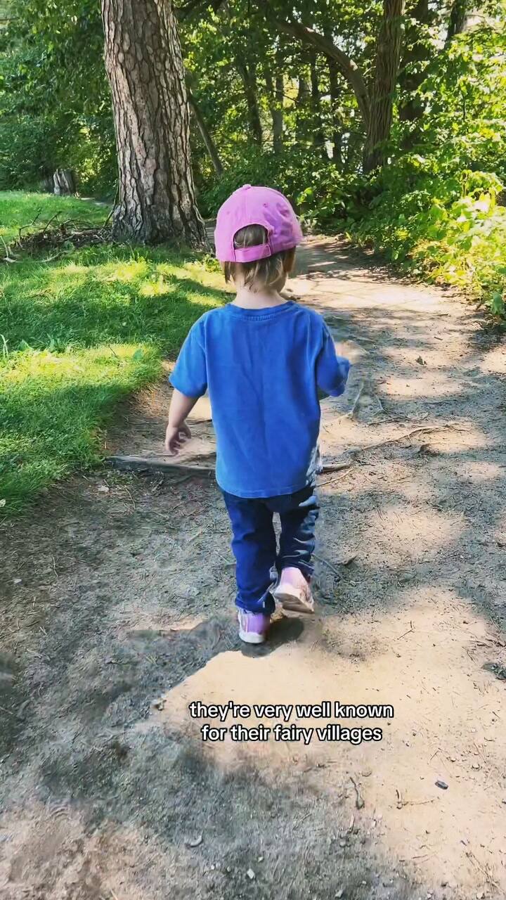 Un paseo por Mackworth Island