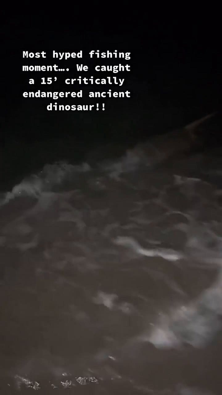 Dos hombres capturaron a un pez que consideraron un “antiguo dinosaurio en peligro de extinción'