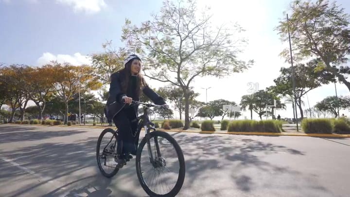 Bicicleta Renault by Venzo