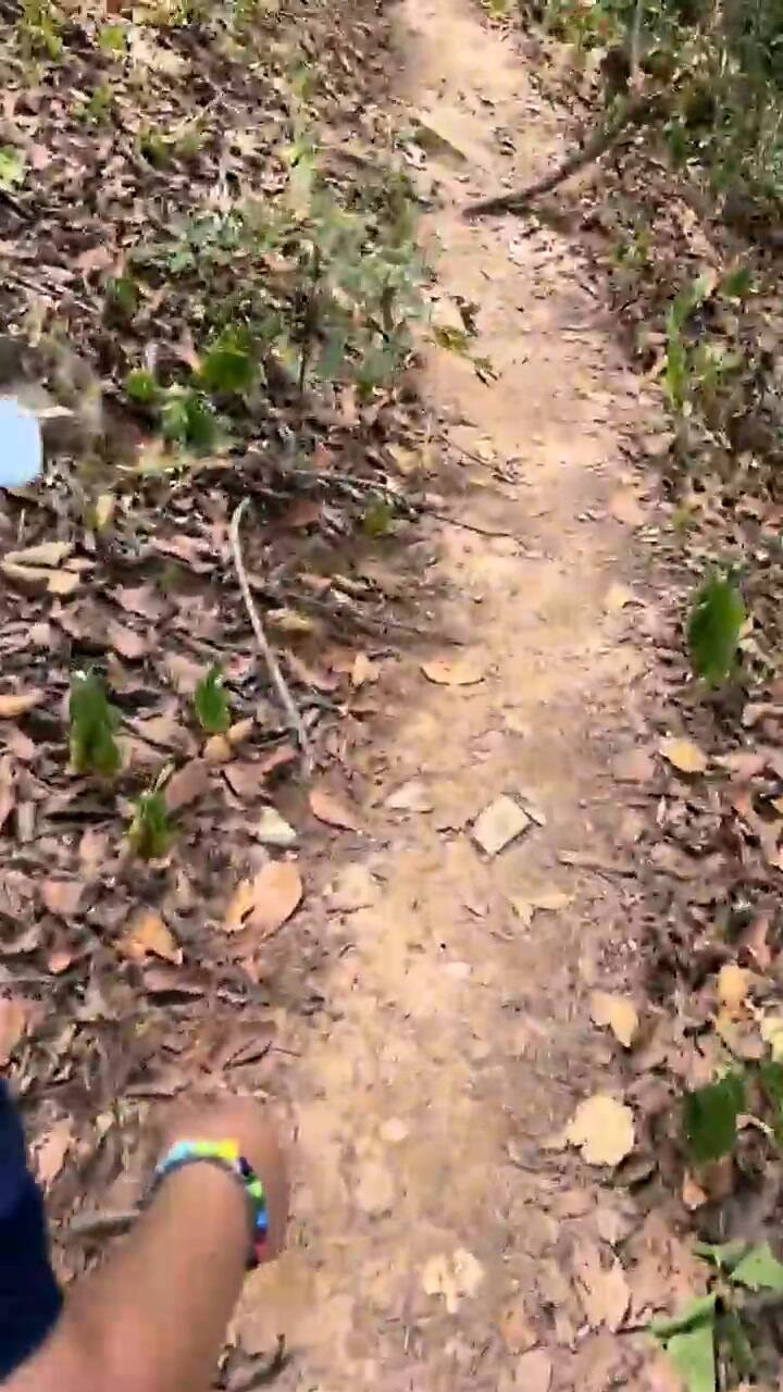 Poncho De Nigris y su hijo fueron perseguidos por un oso por varios kilómetros