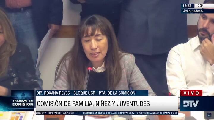 En diputados, Marisa Graham brindó detalles del informe anual de la gestión de la defensoría