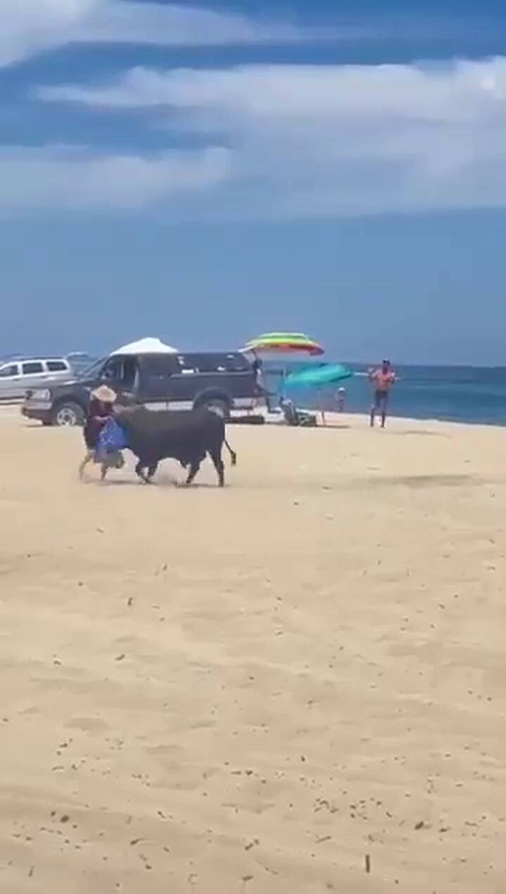 El momento en el que un toro embiste a una mujer