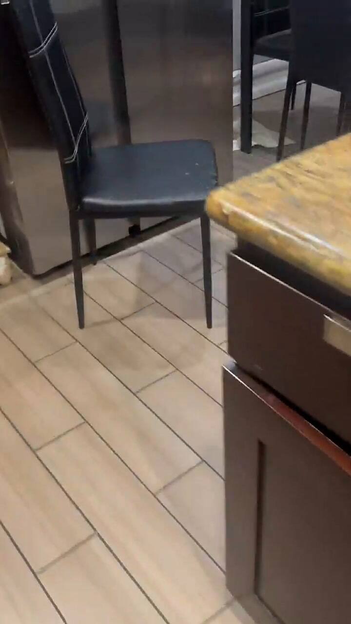 Una perra paseaba por la casa de su propietaria con un cuchillo en el hocico