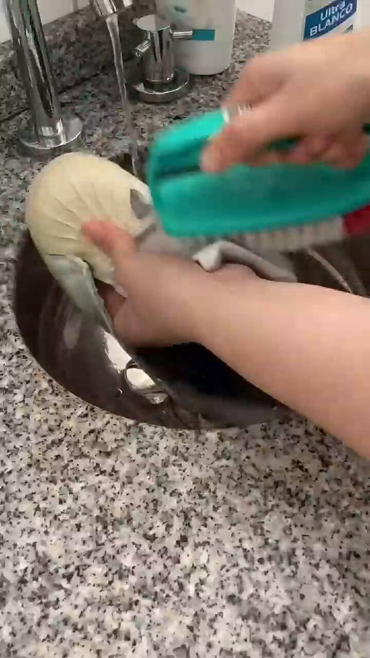 Mostró el truco definitivo para blanquear las zapatillas y se hizo viral