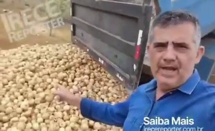 Decenas de kilos de cebolla que se tiraron