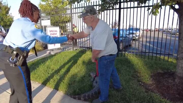Un hombre quiso entrar a un recital con un cocodrilo y lo detuvieron en el ingreso