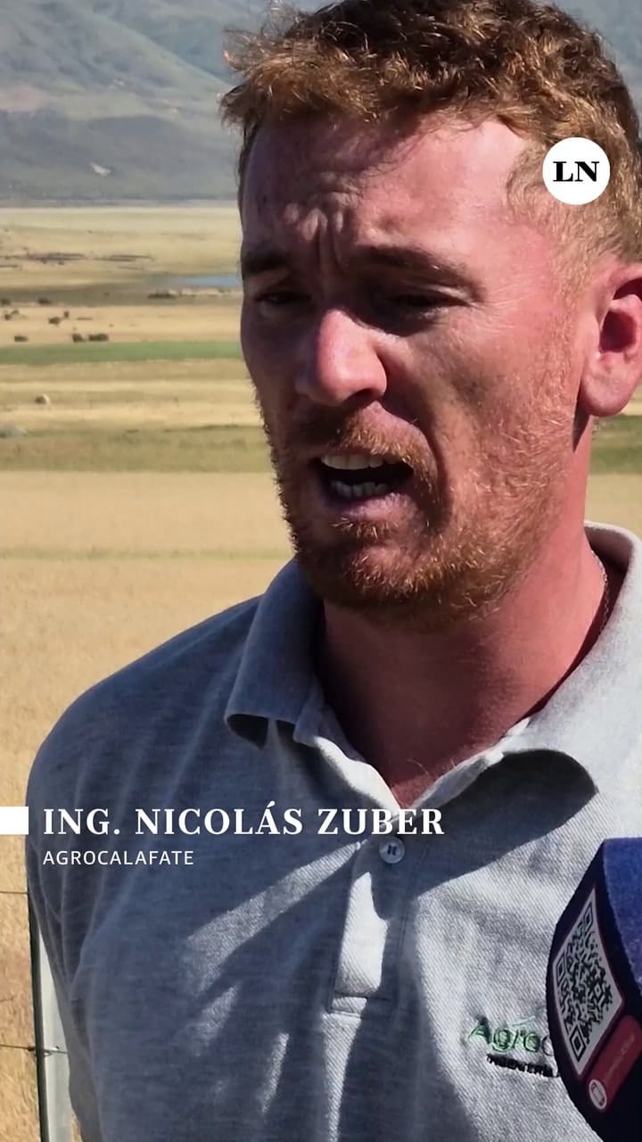 Cosecha a 40 Km del glaciar Perito Moreno