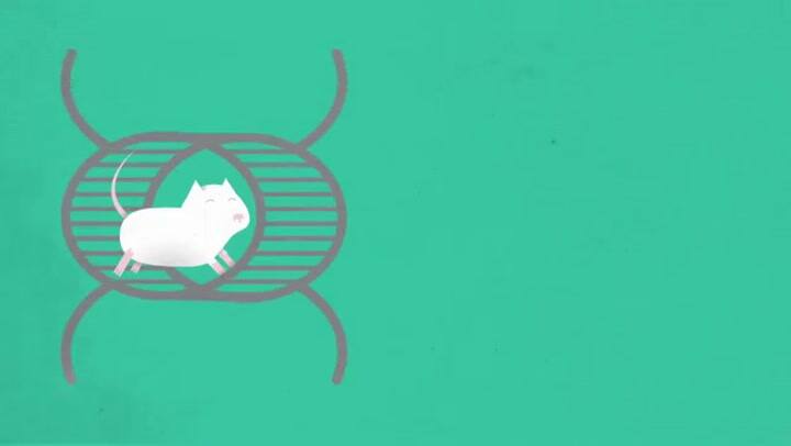 Marcelo Rubinstein: ¿Por Que No Podemos Parar De Comer? - Fuente: Youtube